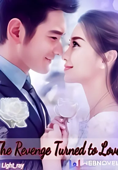 The Revenge Turned To Love cover