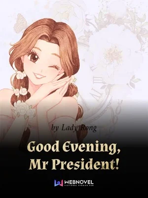 Good Evening, Mr President! cover