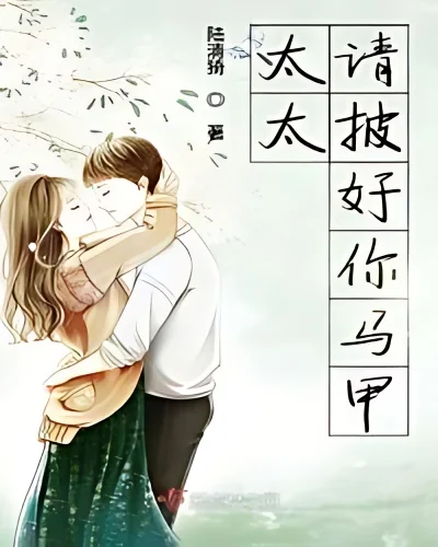 Please Put on Your Vest, Madam cover