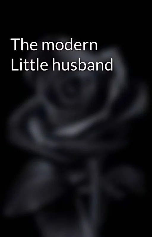 The modern Little husband cover