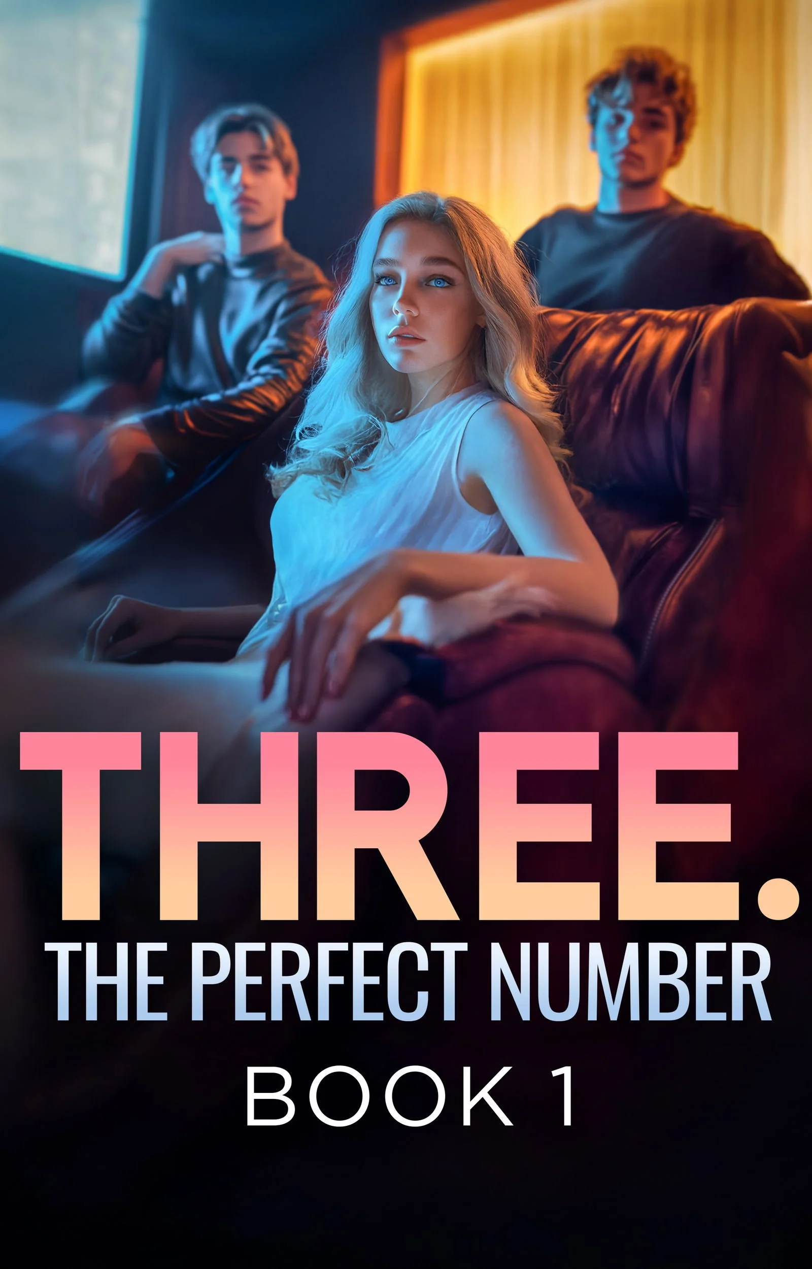 Three. The Perfect Number cover