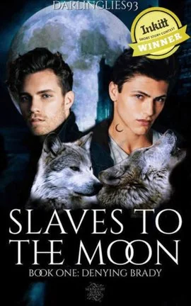 SLAVES TO THE MOON BOOK 1 : DENYING BRADY cover