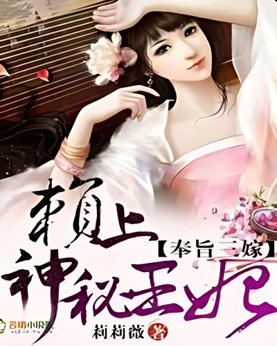 Ordered to Marry Thrice, The Mysterious Wangfei cover