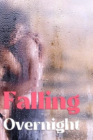 Falling Overnight cover