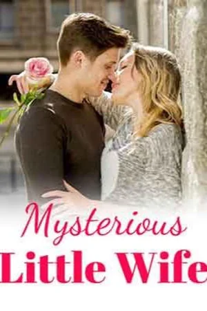 Mysterious Little Wife cover