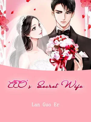 CEO's Secret Wife cover