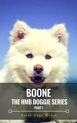 BOONE - Part 1 of the HMB Doggie Series cover