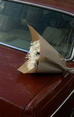 The engagement was abandoned, and she got married to the Great Man of Beijing ci cover