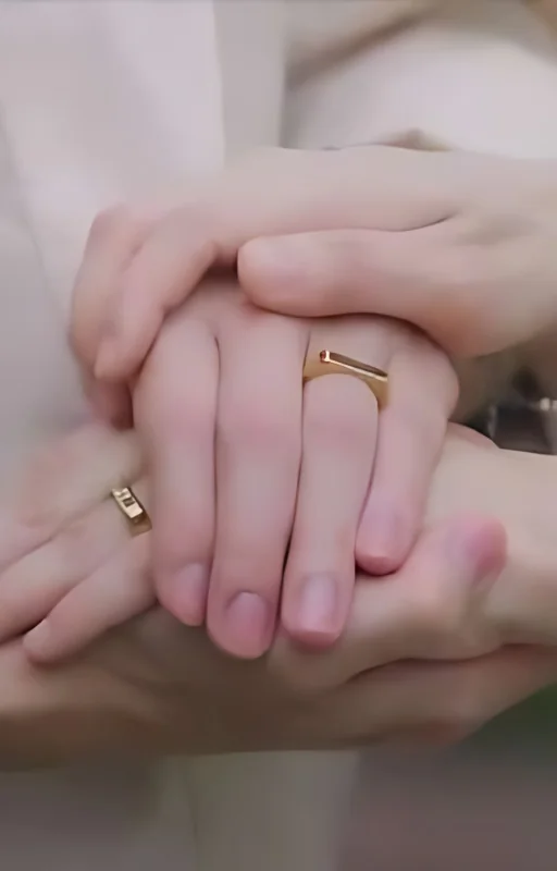 DESTINY'S LOVE cover